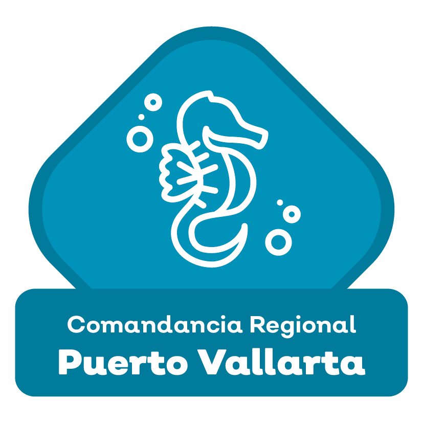 Puerto Vallarta - Comandancia Regional 04